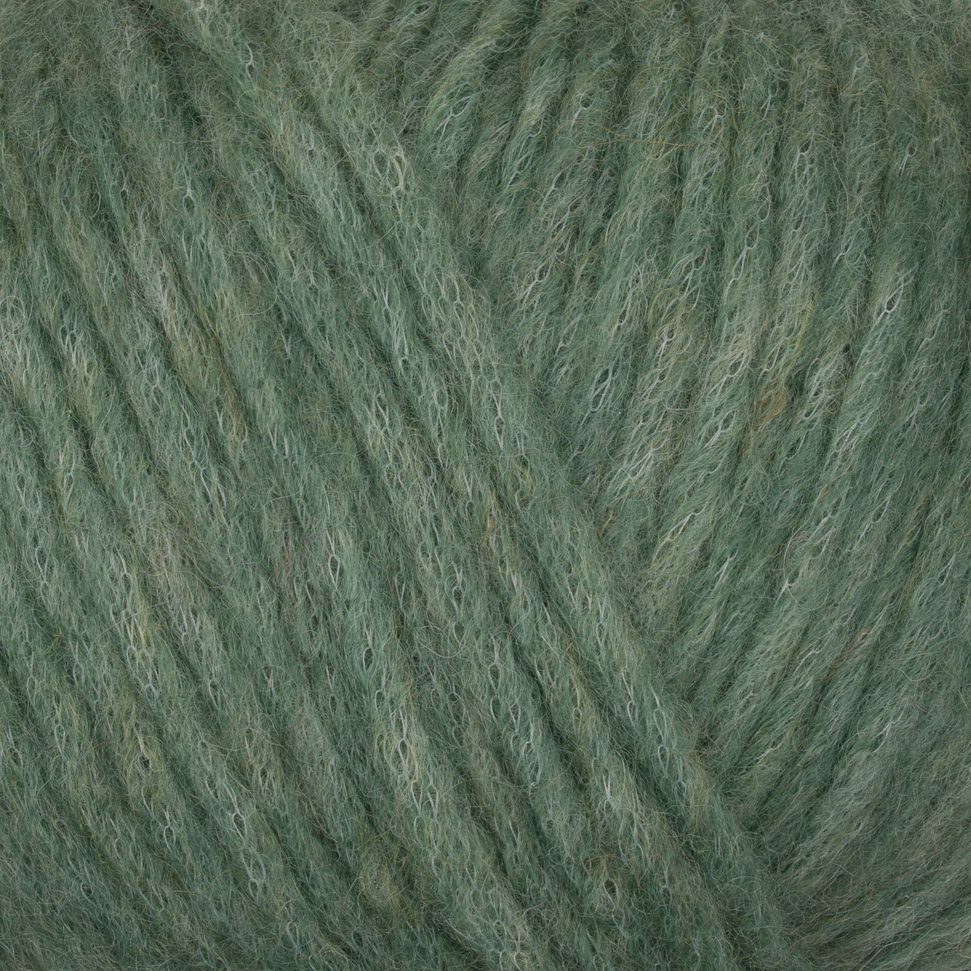 822 - Lichen PUNO - Gepard