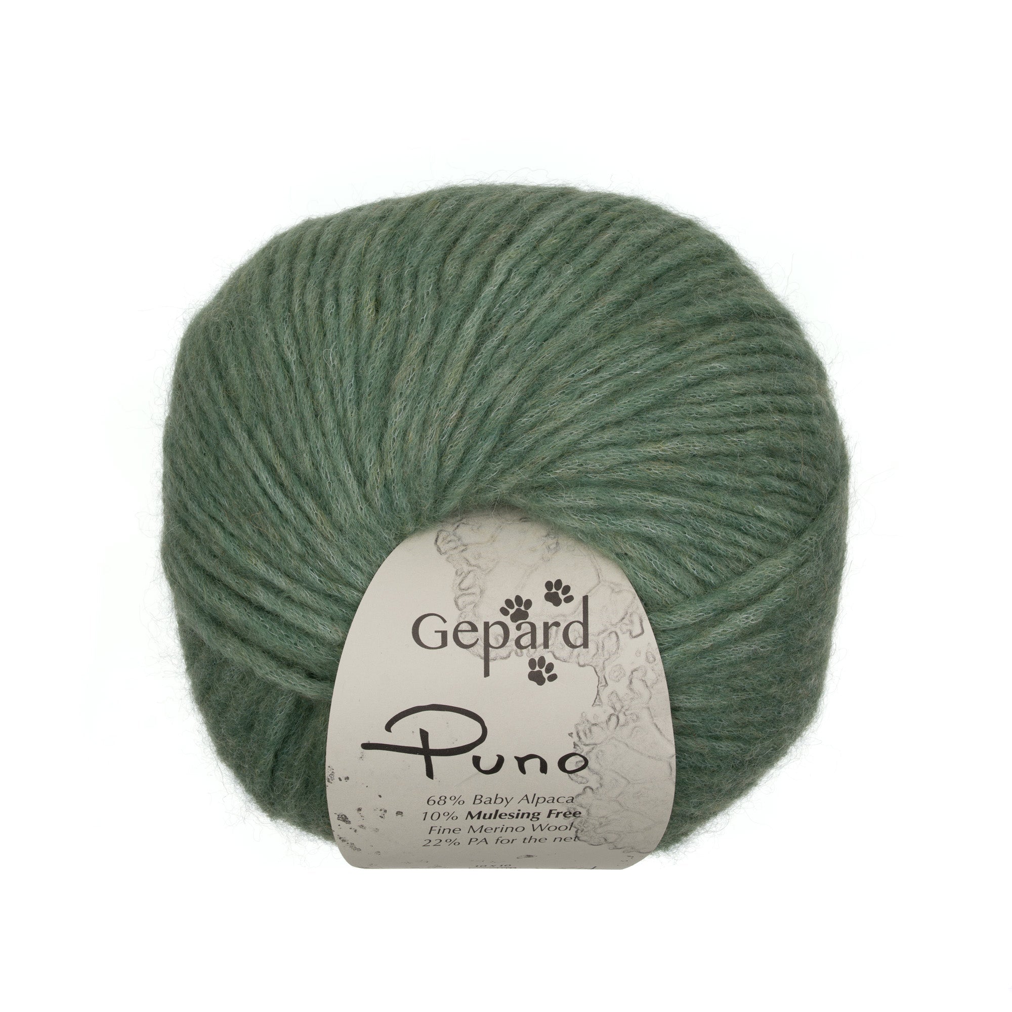 822 - Lichen PUNO - Gepard