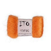 310 - Carrot SENSAI - Ito