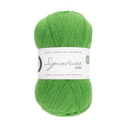 395 - Chocolate Lime SIGNATURE 4PLY - West Yorkshire Spinners