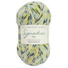 1245 - Yellow Swallowtail Signature 4ply Butterflies Collection - West Yorkshire Spinners