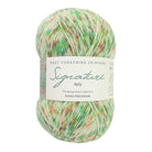 1246 - Green Hairstreak Signature 4ply Butterflies Collection - West Yorkshire Spinners