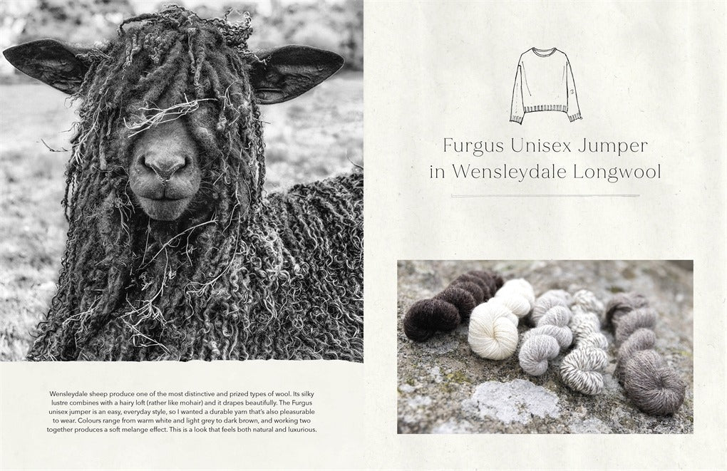 Wonder of Wool - A knitter's guide to pure breed sheep - Justine Lee, Jess Morency - David and Charles