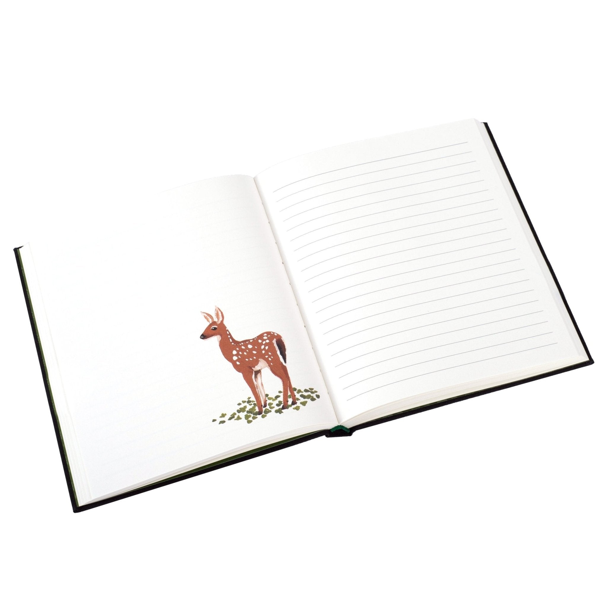 Woodland Journal (Notebook/Sketchbook) - Princeton Architectural Press