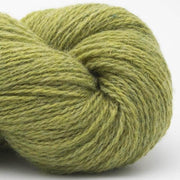 sh010 - vert - anis Bio Shetland - BC Garn