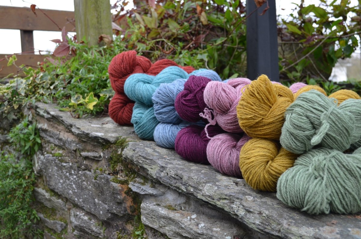 BRUYERE 2 fils - Les Toisons Bretonnes