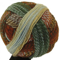CRAZY ZAUBERBALL 1660-Arroyo - Schoppel Wolle