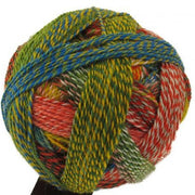1701 - Parrot Crazy Zauberball - Schoppel Wolle