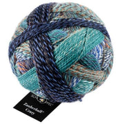 2395 - Camouflage Crazy Zauberball - Schoppel Wolle