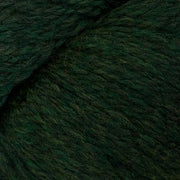 2445 - Vert foncé Heather ECO+ - Cascade Yarns