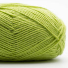 EDELWEISS ALPAKA 25GR 029-Spring Green - Kremke Soul Wool