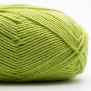 029 - Spring Green EDELWEISS ALPAKA 25GR - Kremke Soul Wool