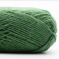 EDELWEISS ALPAKA 25GR 044-Cactus - Kremke Soul Wool