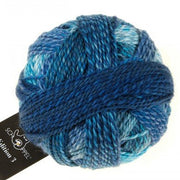 2362 - Bluish Edition 3 - Schoppel Wolle