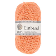9990 - Saumon Lodband - Einband - Istex - Lopi