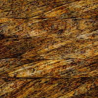 Mechita – Speckled Collection 710-Desert - Malabrigo