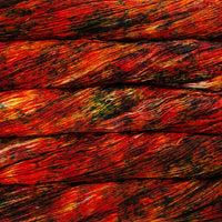 Mechita – Speckled Collection 999-Paprika - Malabrigo