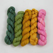 Dorothea MINIS KIT Fino - Manos del Uruguay