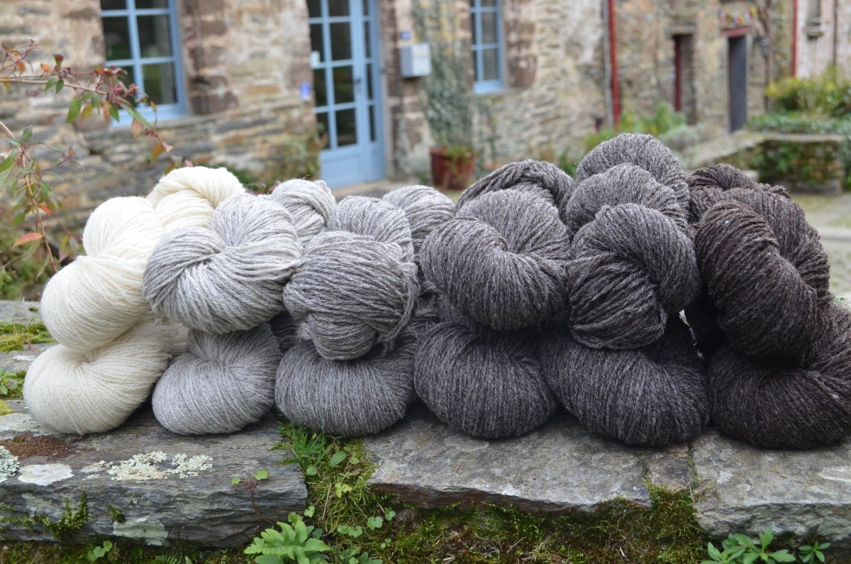 Origine – 3 fils Ecru - Les Toisons Bretonnes