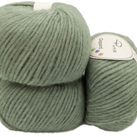 PUNO 822-Lichen - Gepard