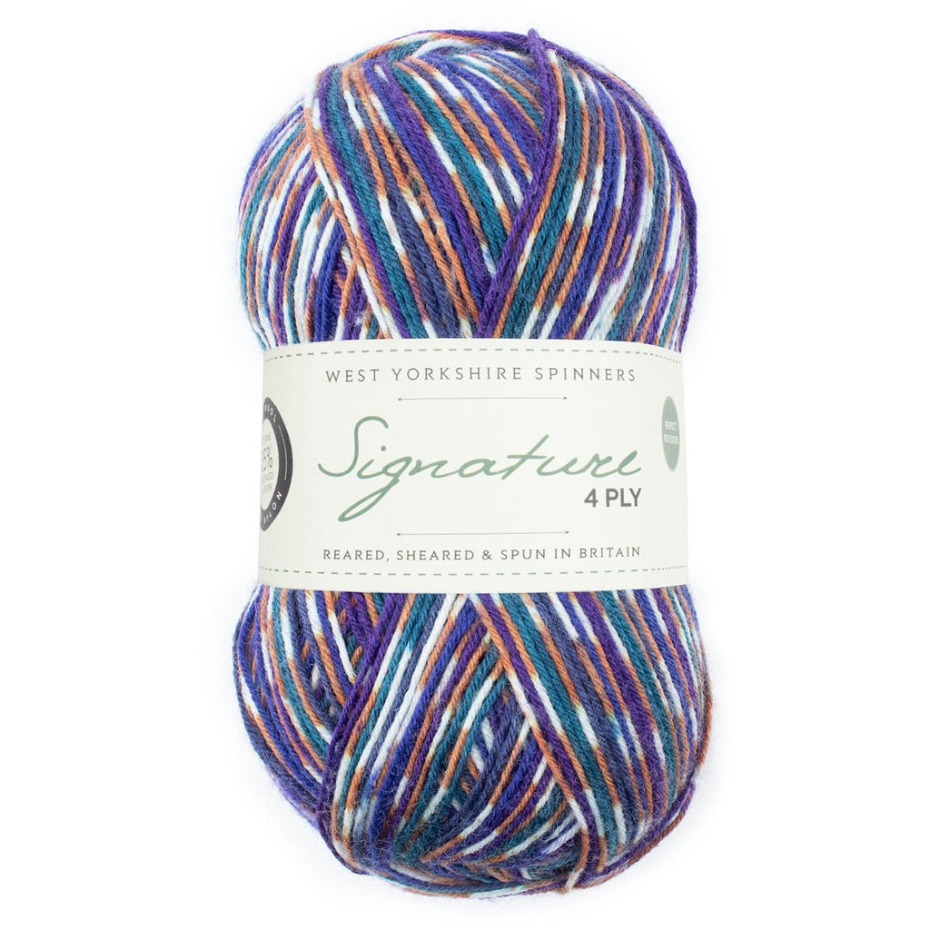 WYS-COUNTRYBIRDS-1169 Starling - SIGNATURE 4PLY - COUNTRY BIRDS - West Yorkshire Spinners