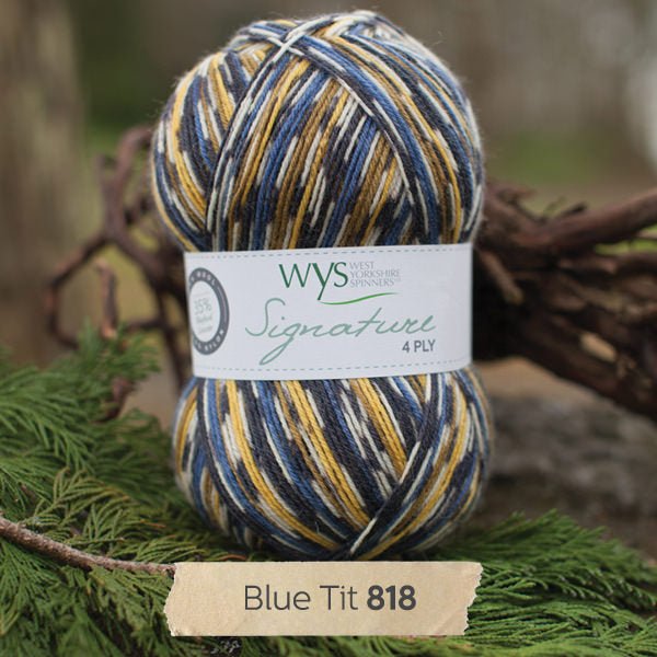 SIGNATURE 4PLY - COUNTRY BIRDS 818-Blue Tit - West Yorkshire Spinners