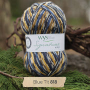 818 - Blue Tit SIGNATURE 4PLY - COUNTRY BIRDS - West Yorkshire Spinners