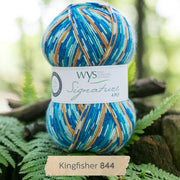 844 - Kingfisher SIGNATURE 4PLY - COUNTRY BIRDS - West Yorkshire Spinners