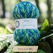 851 - Peacock SIGNATURE 4PLY - COUNTRY BIRDS - West Yorkshire Spinners