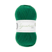 1006 - Spruce SIGNATURE 4PLY - HAPPY FEET COLLECTION - West Yorkshire Spinners