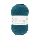 SIGNATURE 4PLY - HAPPY FEET COLLECTION 1007-Pacific - West Yorkshire Spinners