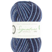 Silent Night Sparkle SIGNATURE 4PLY - NOEL - West Yorkshire Spinners