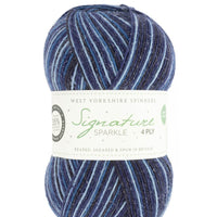 SIGNATURE 4PLY - NOEL Silent Night Sparkle - West Yorkshire Spinners