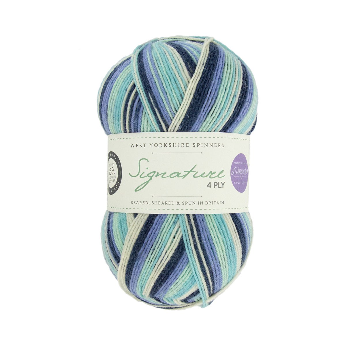 SIGNATURE 4PLY - Seasons by Winwick Mum 878-Winter Icicle - West Yorkshire Spinners