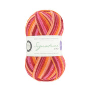 881 - Summer Sunset SIGNATURE 4PLY - Seasons by Winwick Mum - West Yorkshire Spinners