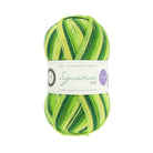 SIGNATURE 4PLY - Seasons by Winwick Mum 882-Spring Green - West Yorkshire Spinners