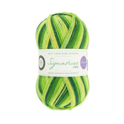 882 - Spring Green SIGNATURE 4PLY - Seasons by Winwick Mum - West Yorkshire Spinners