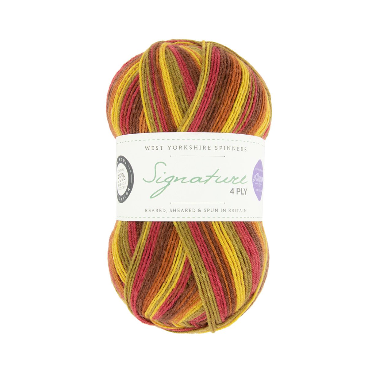 SIGNATURE 4PLY - Seasons by Winwick Mum 885-Autumn Leaves - West Yorkshire Spinners