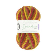 885 - Autumn Leaves SIGNATURE 4PLY - Seasons by Winwick Mum - West Yorkshire Spinners