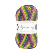 872 - Wildflower SIGNATURE 4PLY – WINWICK MUM COLLECTION - West Yorkshire Spinners