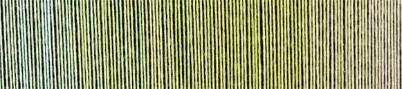 COTTONBIO-2341-Greenhorn - ZAUBERBALL COTTON BIO - Schoppel Wolle